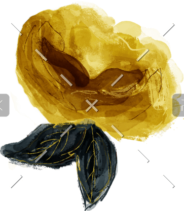 demo-attachment-48-about-me-1